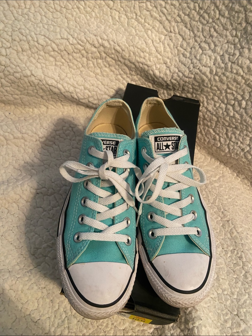 Women’s Low Top Sneakers in Teal